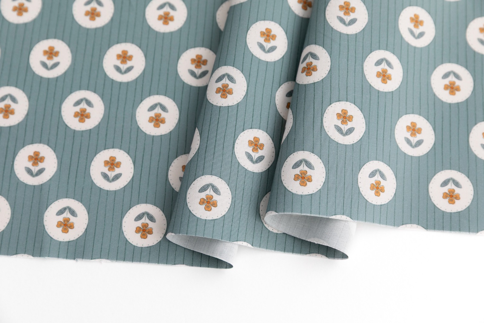 定期便サムネイル画像01