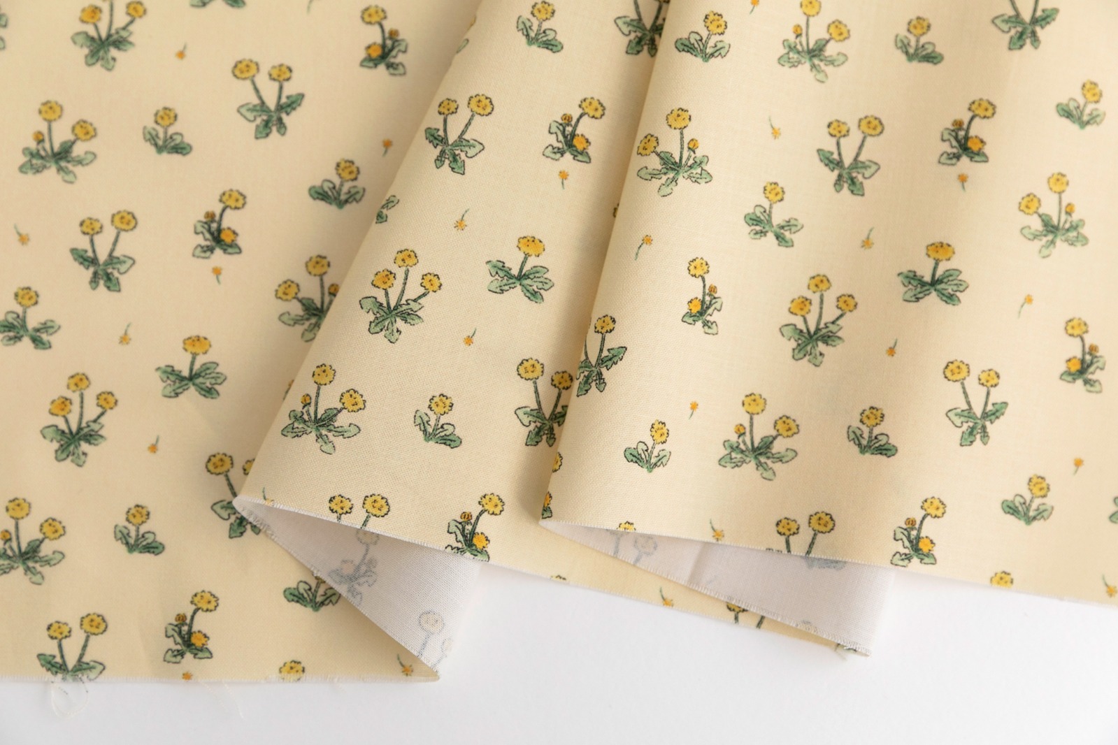 定期便サムネイル画像01