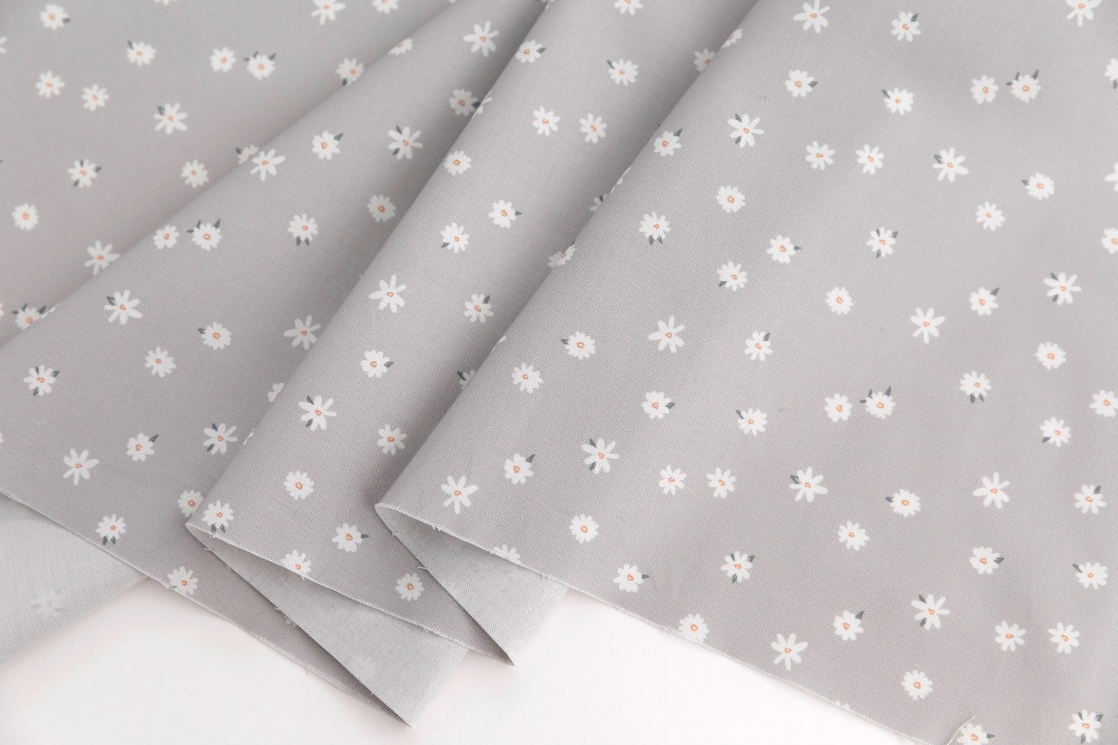 定期便サムネイル画像01