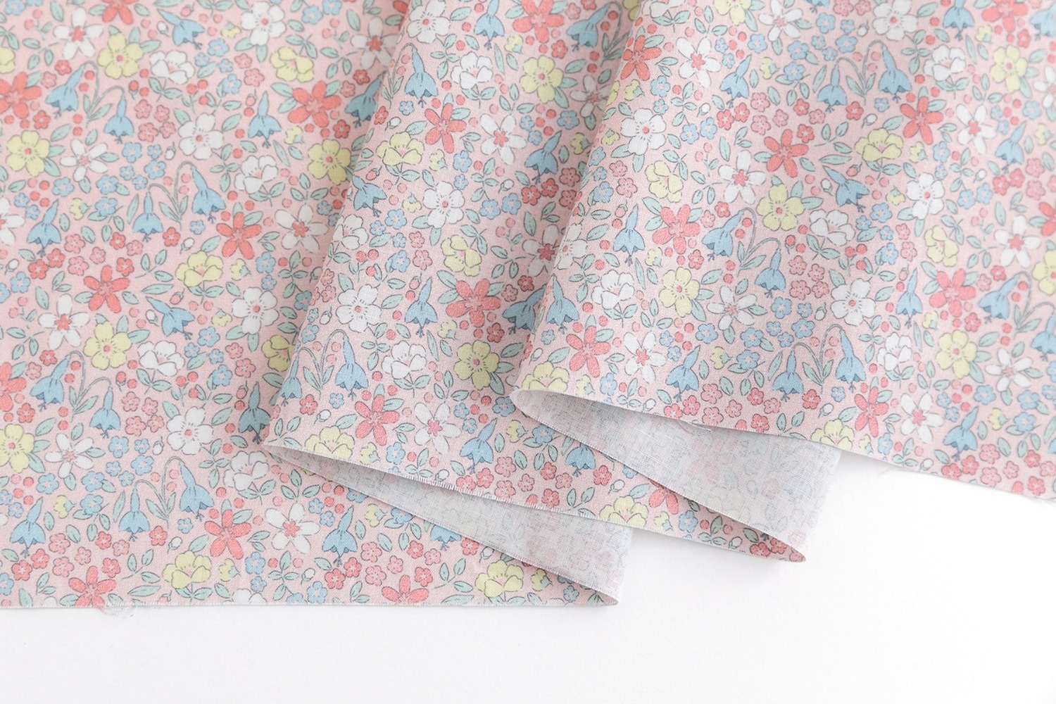 定期便サムネイル画像01