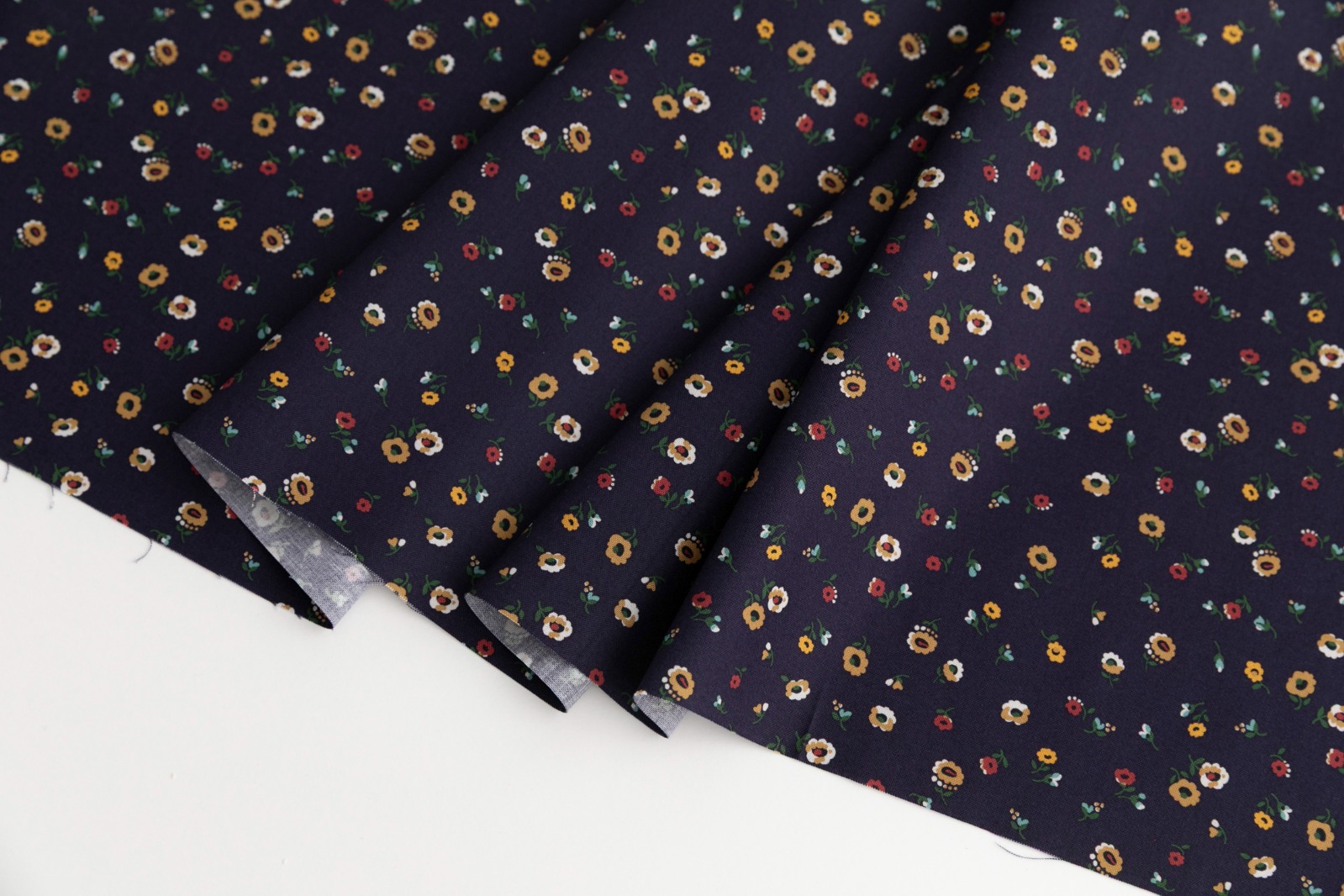 定期便サムネイル画像01