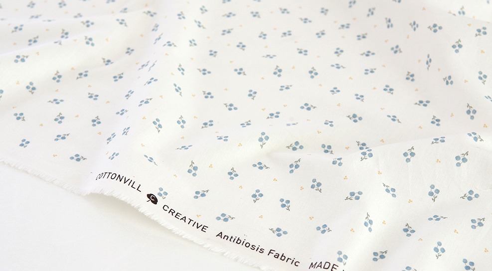 定期便サムネイル画像01