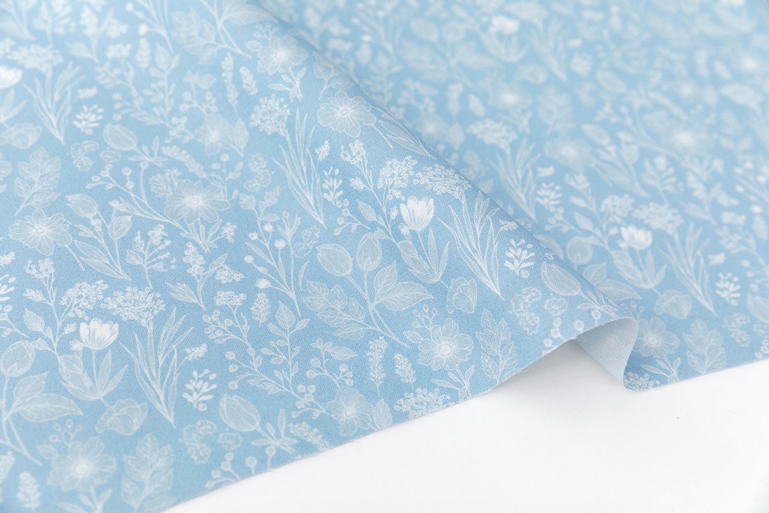 定期便サムネイル画像01