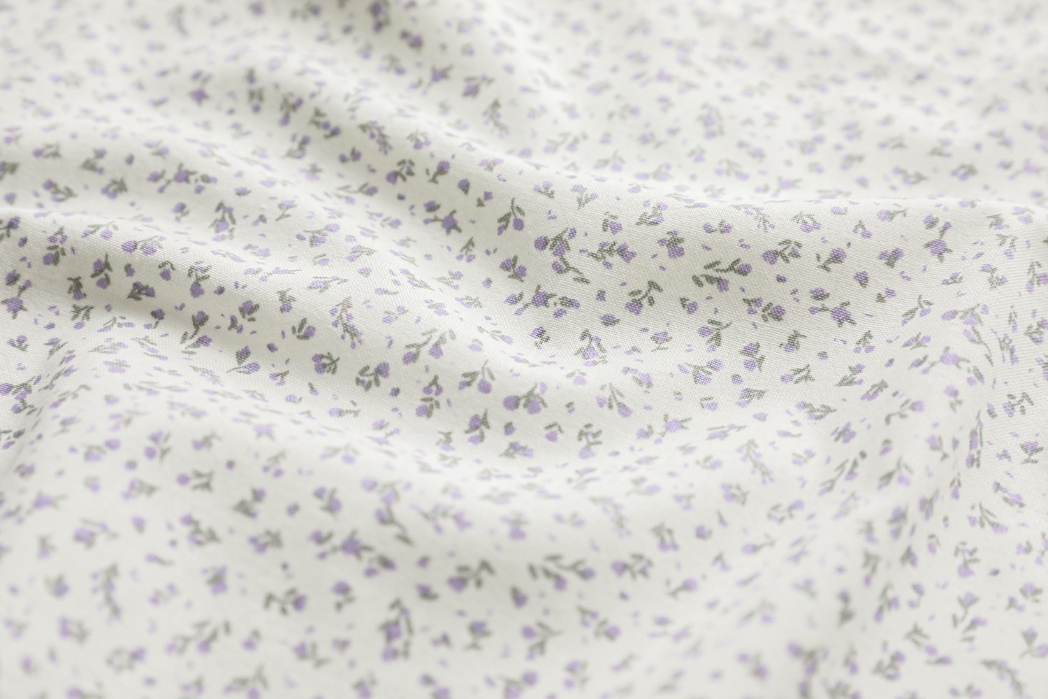 定期便サムネイル画像01