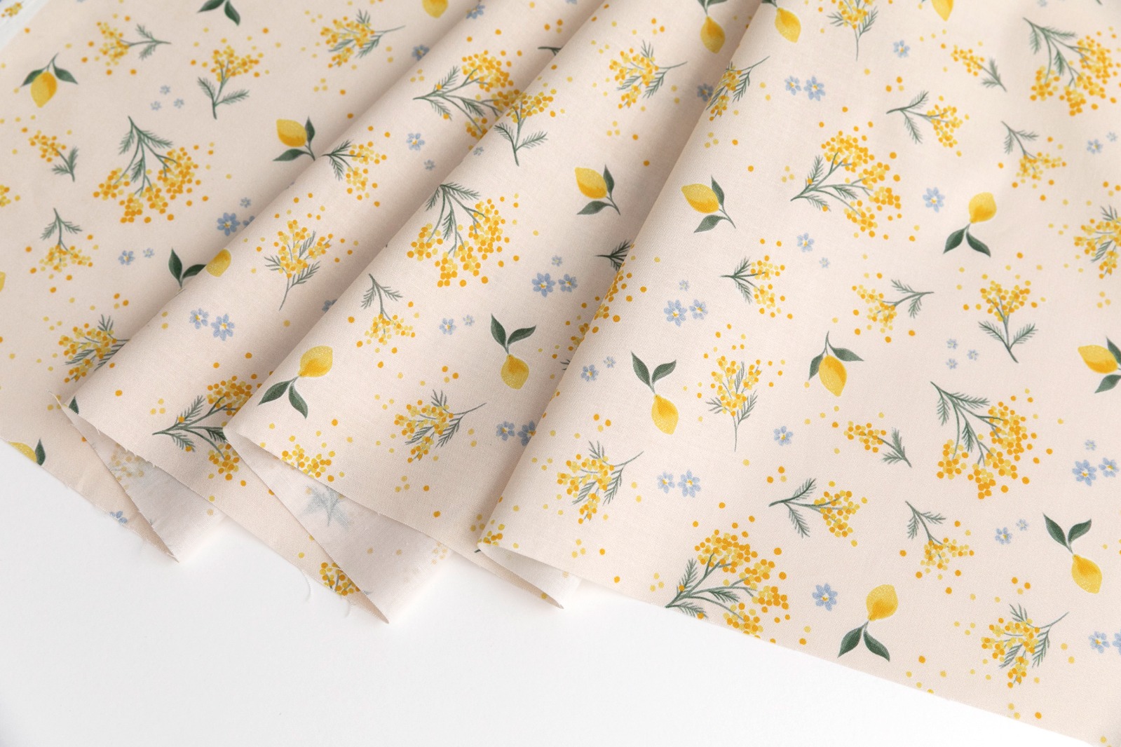 定期便サムネイル画像01