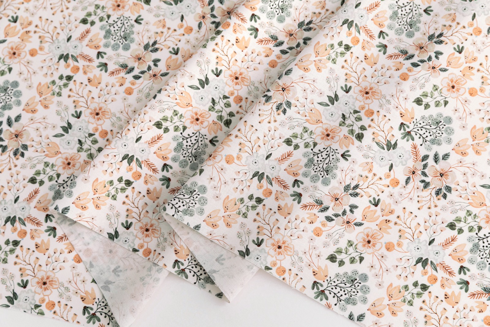 定期便サムネイル画像01