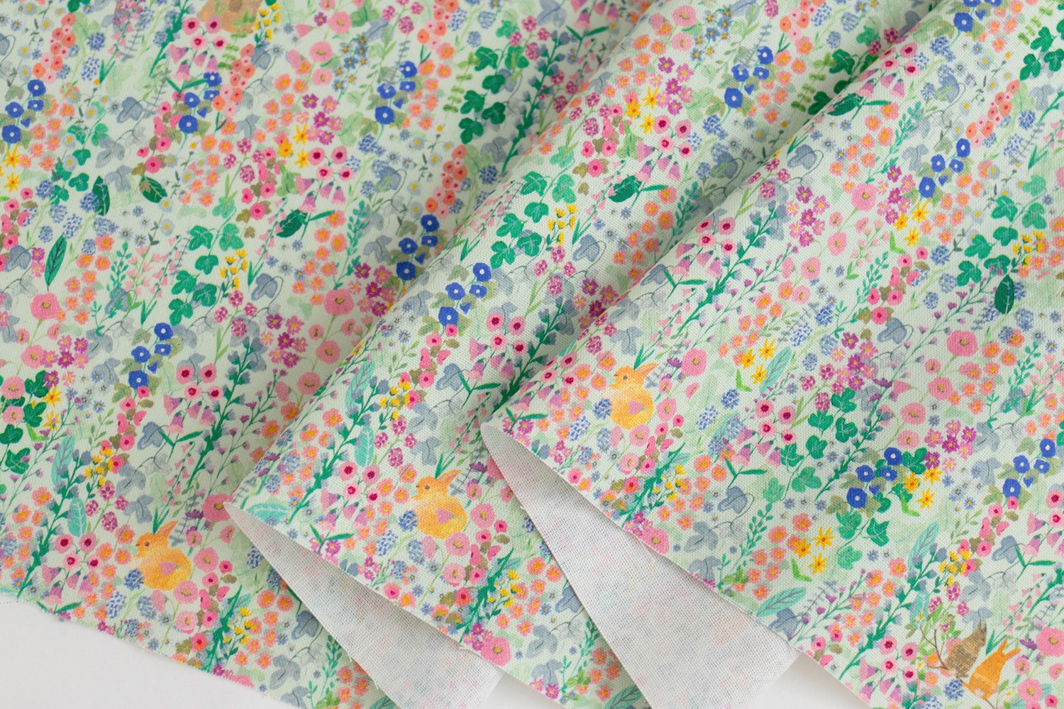 定期便サムネイル画像01