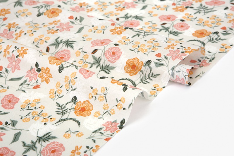 定期便サムネイル画像01