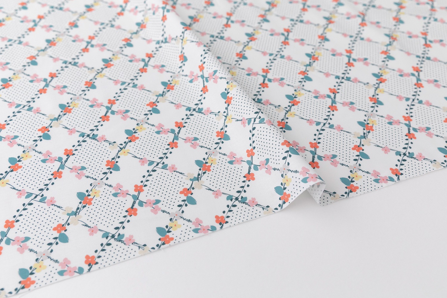 定期便サムネイル画像01