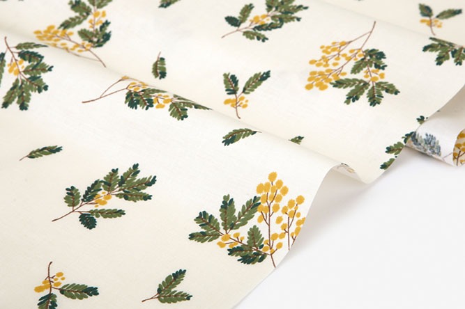 定期便サムネイル画像01