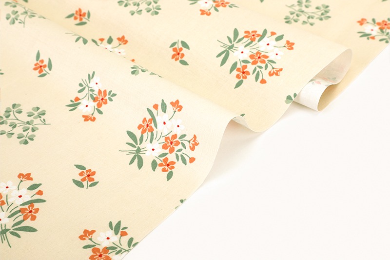 定期便サムネイル画像01