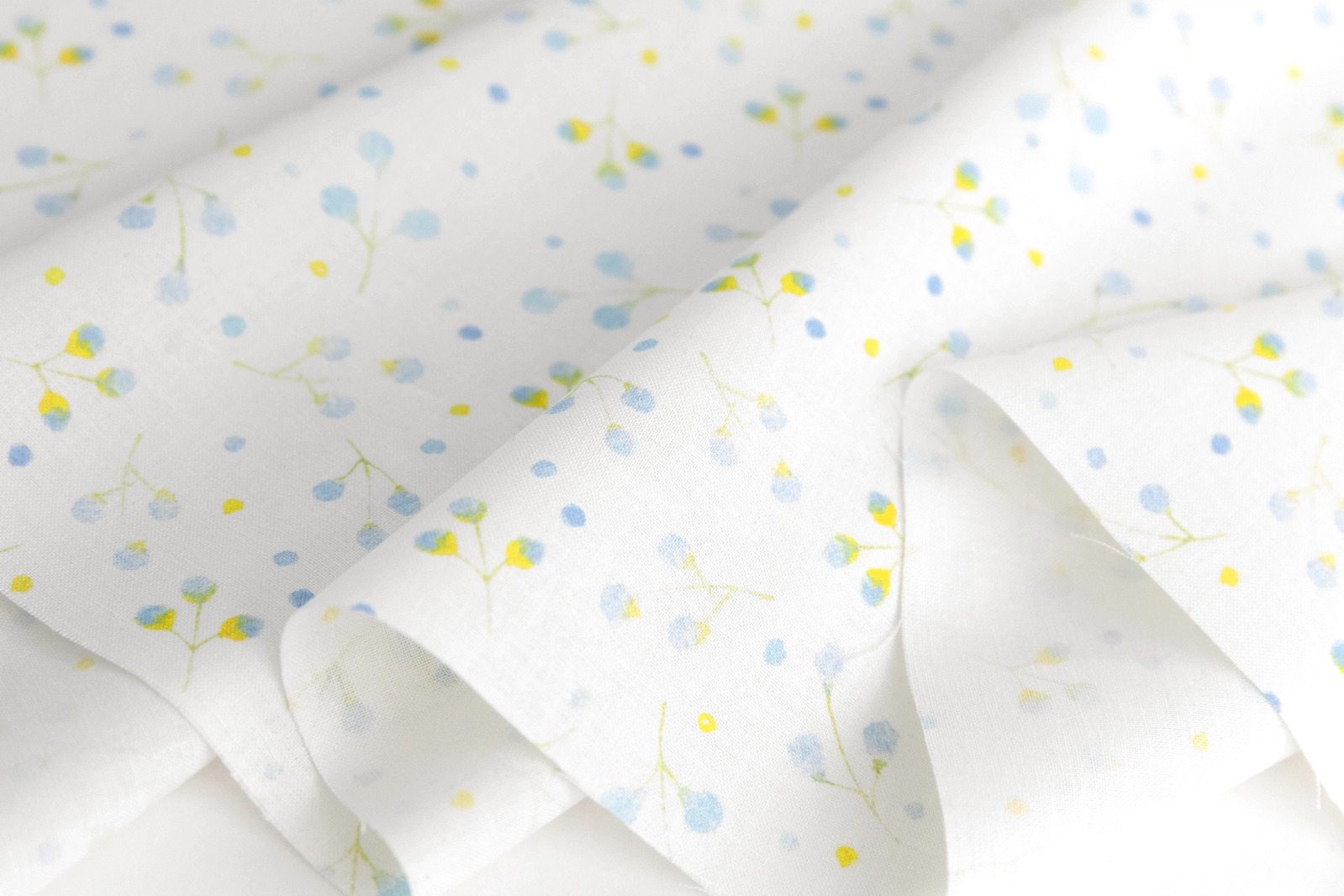 定期便サムネイル画像01