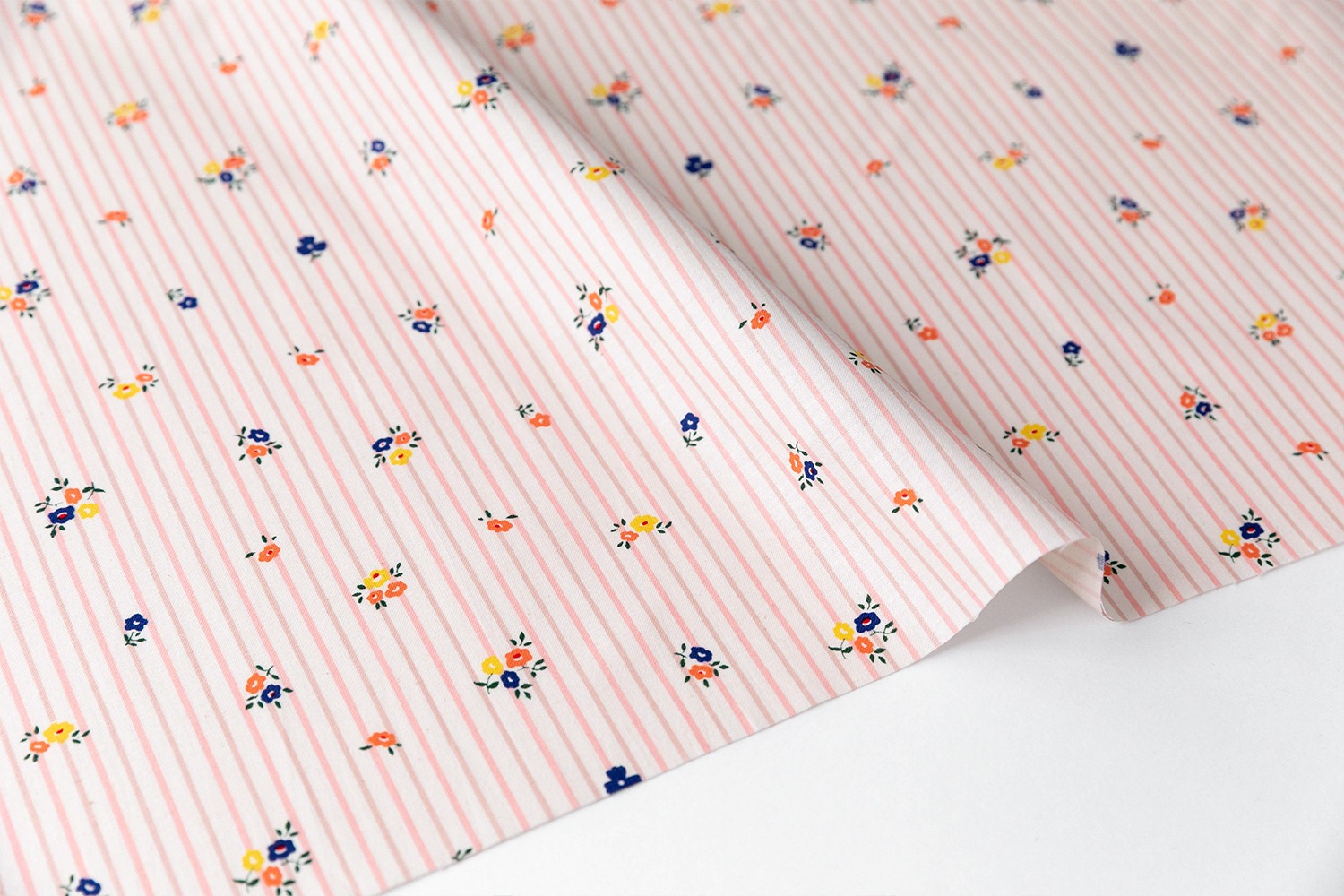 定期便サムネイル画像01