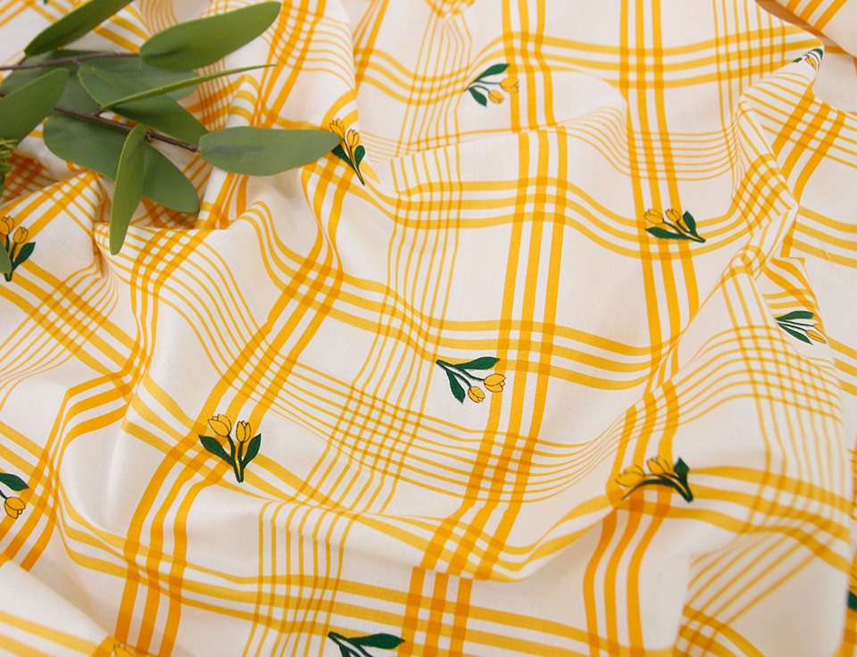 定期便サムネイル画像01