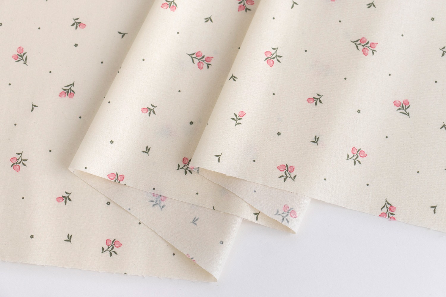 定期便サムネイル画像01