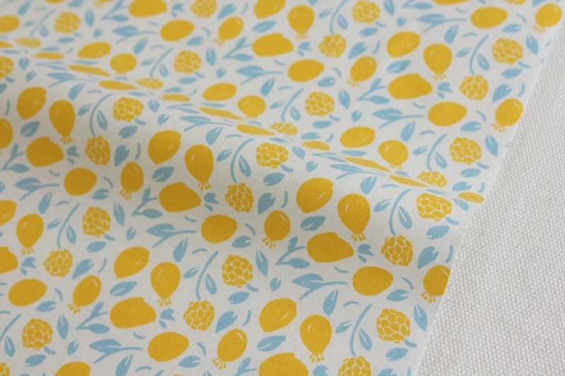 定期便サムネイル画像01