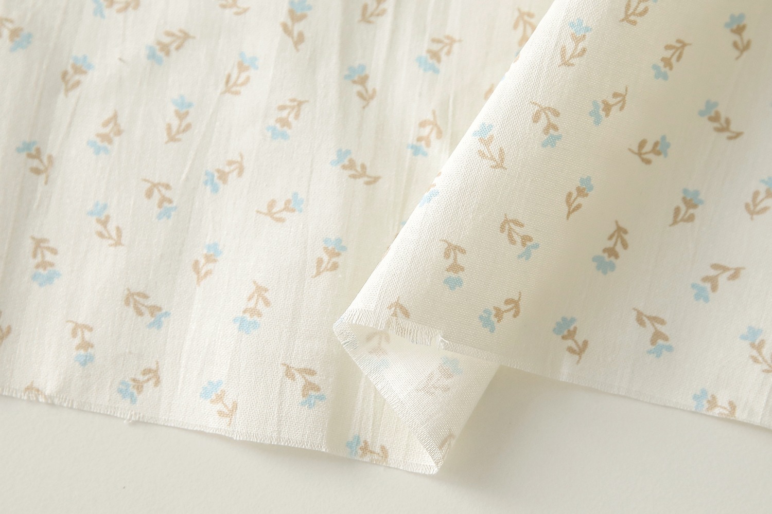 定期便サムネイル画像01